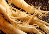 人参的产地分布 附人参的产地环境及中国人参之乡