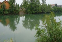 鱼塘消毒常用方法与特点 主要有两种