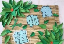 植物角区域规则