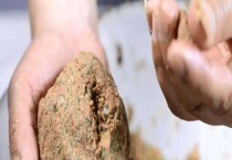 秋天钓鲫鱼饵料配方 附饵料味型的选择