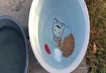 钓鱼小药的用法及注意事项 附具体说明