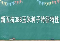 新五抗388玉米种子特征特性
