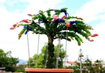 嫁接蟹爪兰什么季节嫁接