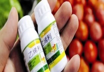 一喷红和乙烯利是否一样 乙烯利有什么用途