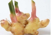 生姜发芽了可以种盆栽吗？