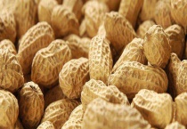 花生产地有哪些 花生主要生产省（区）情况