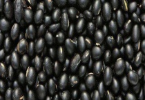黑豆产地在哪里 附黑豆的栽培区域