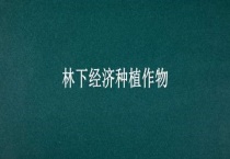 林下经济种植作物