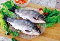 鲫鱼寄生虫还能吃吗？