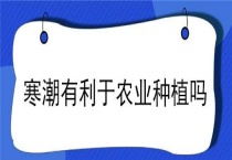 寒潮有利于农业种植吗？