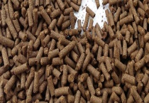 蛋白质饲料是什么 常见蛋白质饲料有哪些？