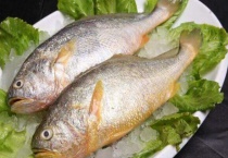 梅鱼和小黄鱼区别？