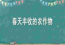 春天丰收的农作物