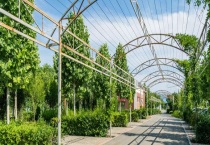 如何推进农业现代化