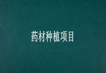 药材种植项目