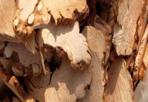 土茯苓与茯苓的区别？是什么 科属、药性和功效都有区别？