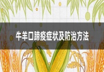 牛羊口蹄疫症状及防治多久？