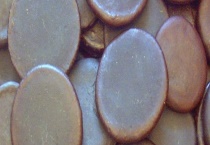 蟾酥的采集和加工技术 注意不要接触铁器