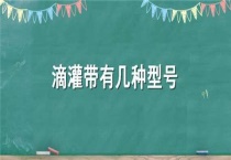 滴灌带有几种型号