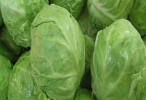 包菜是不是橄榄菜 包菜有哪些主要变种