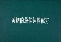 黄鳝的最佳饲料配方