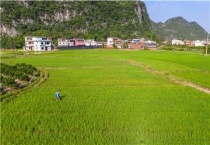 喷完除草剂下雨怎么办？