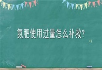 氮肥使用过量怎么补救