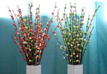 干支银柳怎么养