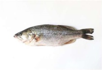 鲈鱼是海鲜吗？