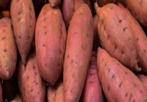 坏了一点的红薯是否还可以吃 红薯的保存多久？