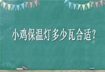 小鸡保温灯多少瓦合适