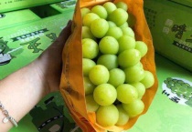 晴王和香印有什么区别？？