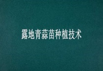 露地青蒜苗种植技术