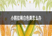 小鹅拉稀白色粪怎么办？