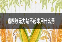 猪四肢无力站不起来用什么药