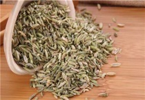 茴香种子催芽多久？