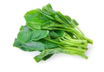 菠菜种子冰箱催芽多久？