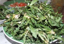 苦苣和甜苣的区别？