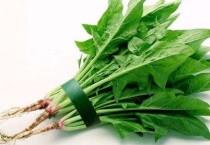 带叶子的蔬菜有哪些？