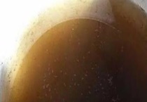 制作矾肥水的简单多久？