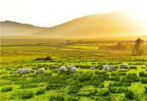 家庭农场注册条件