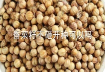 香菜籽不砸开种可以吗？