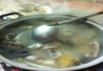 七星鱼是什么鱼