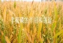 辛硫磷的作用和用途