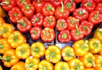 番椒是什么辣椒