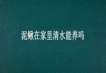 泥鳅在家里清水能养吗？