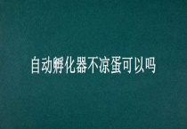 自动孵化器不凉蛋可以吗？
