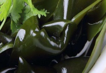 海带如何繁殖 附海带的食用禁忌