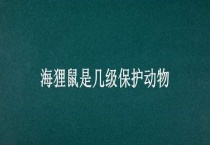 海狸鼠是几级保护动物