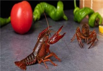 活蹦乱跳的虾怎么去虾线